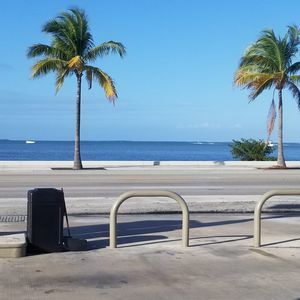 Meet your Posher, Larry